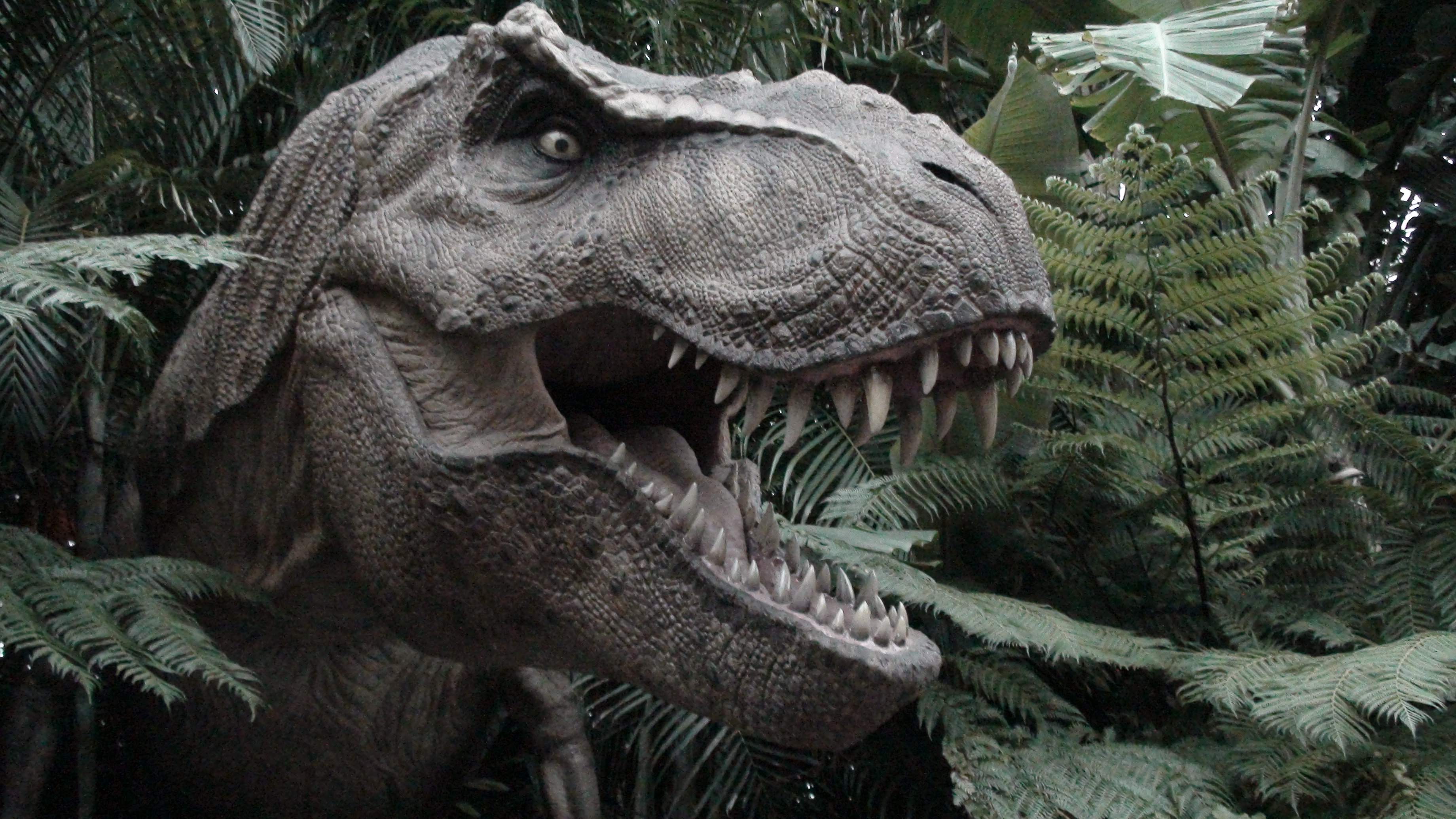 Сколько юрскому лет было. Парк Юрского периода 1993. Парк Юрского периода 1 динозавры. Парк Юрского периода 2. Динозавры парк Юрского периода 4.